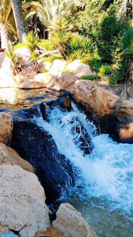 Charming Apartment In Alicante Near The Sea & City Center Ngoại thất bức ảnh